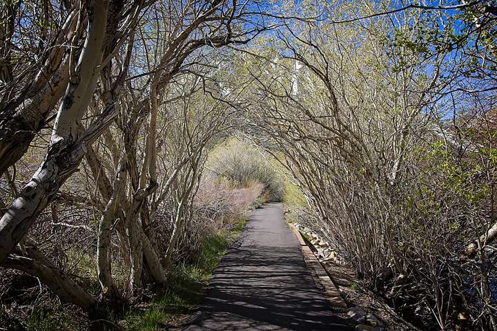 Convict Lake 7