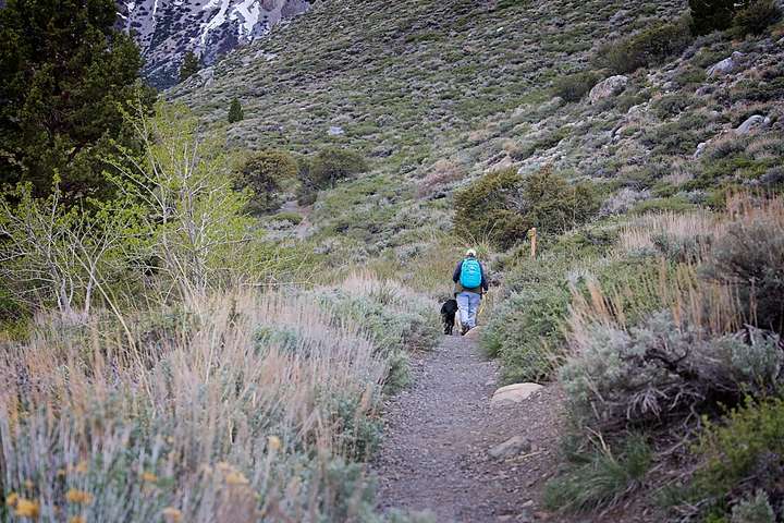 Convict Lake 9