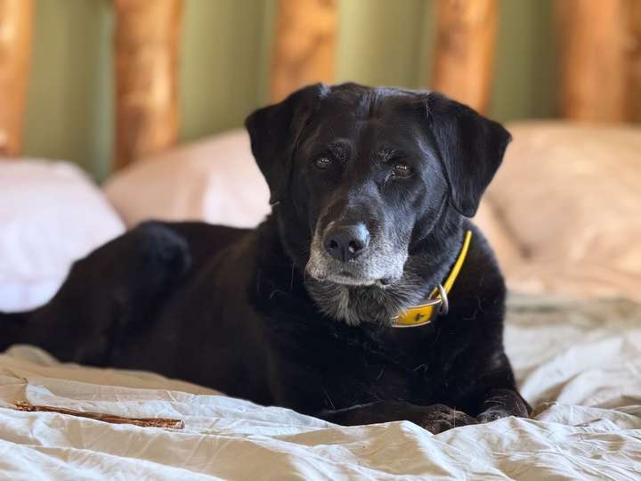Gail on Bed