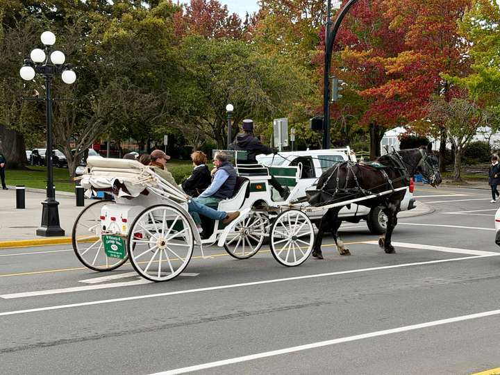 Horse Drawn Carriage