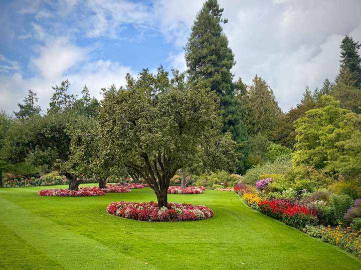 Butchart Garden 8