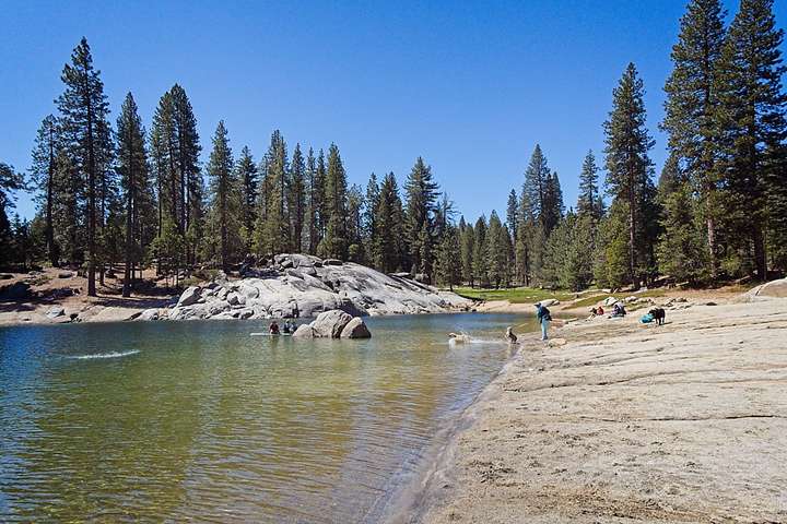 Shaver Lake 8