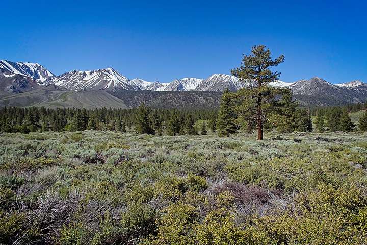 Mammoth Lake