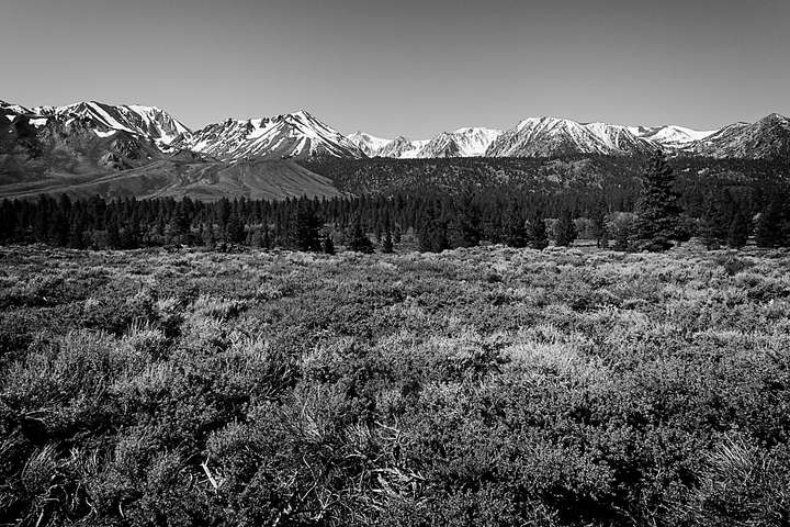 Mammoth Lake B&W