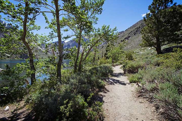 Follow the Trail