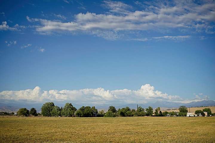 Country Scene