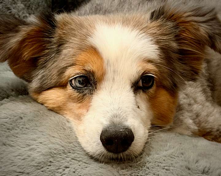 Skye