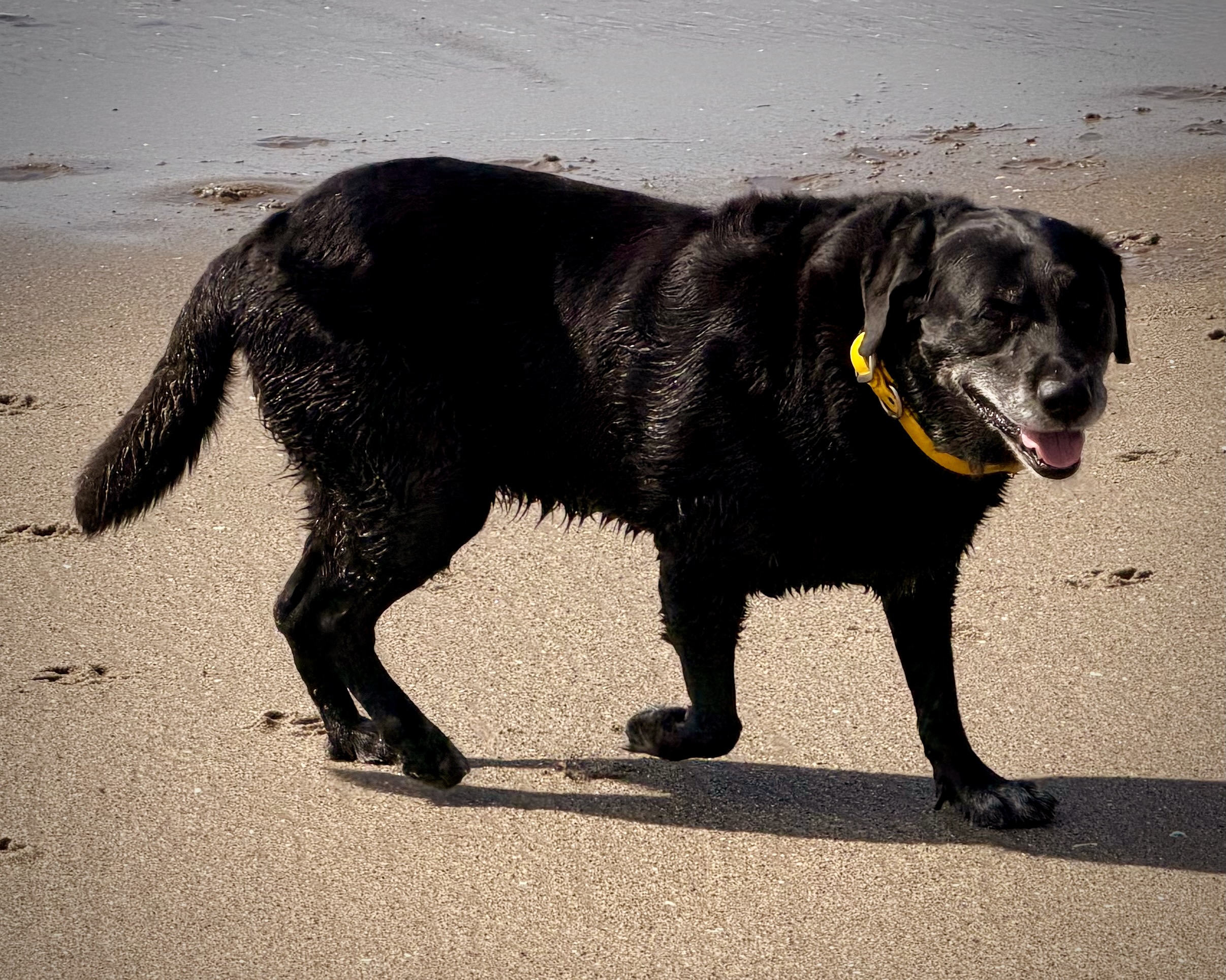Gail at the Beach