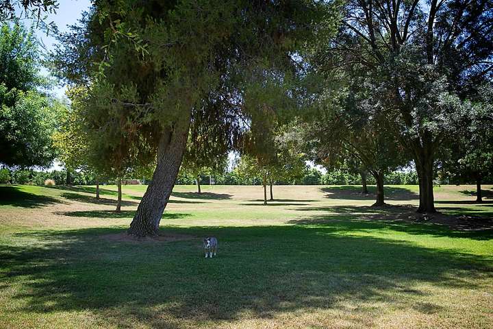 In the Park 2