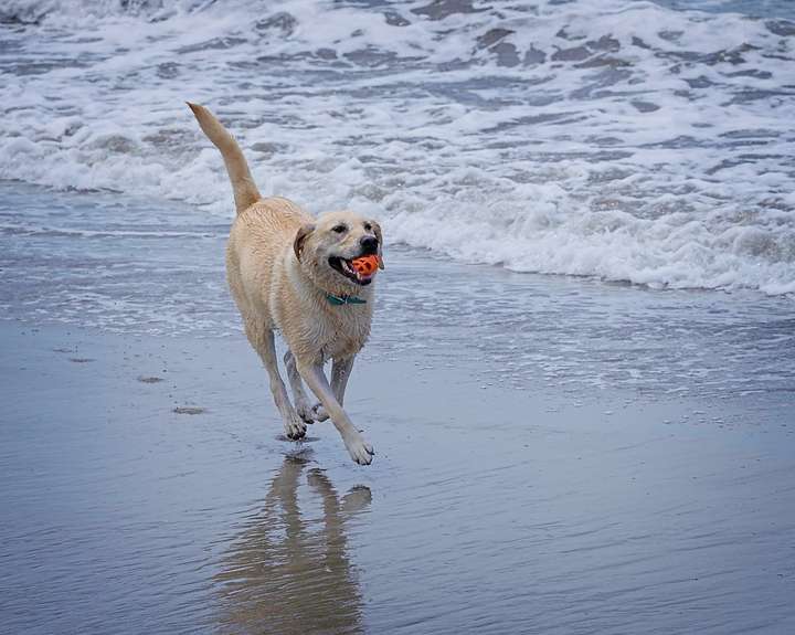Sally at Play 1
