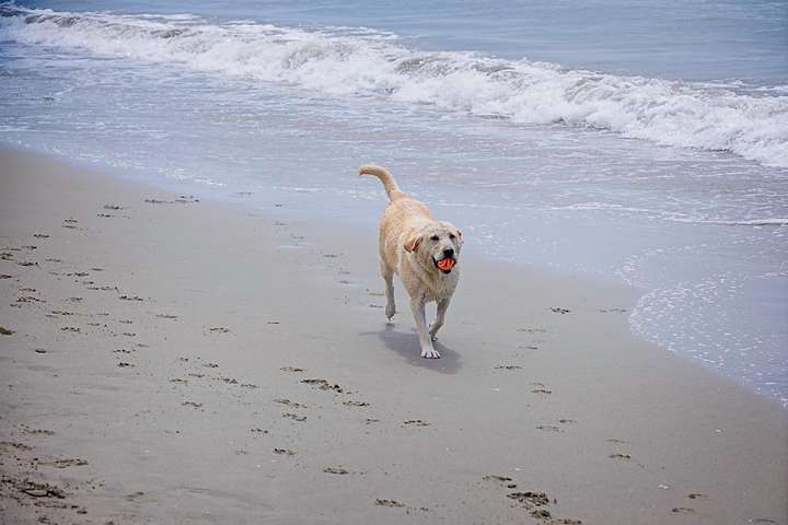 Sally at Play 2