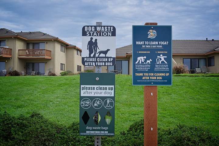Dog Poop Info