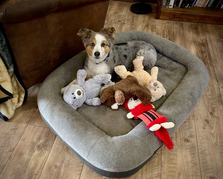 Skye with Toys