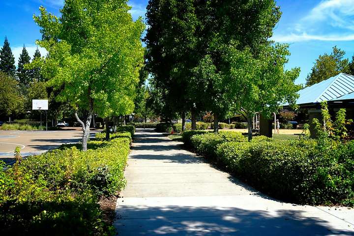 Roseville Park 1