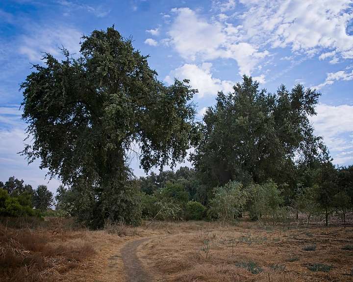 Kaweah Preserve 3