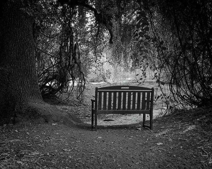 Kaweah Preserve Quiet Spot